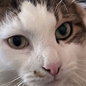 Meet your Posher, Rafael